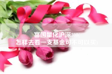 富国量化沪深300(
怎样去看一支基金可不可以买) 富国量化沪深300(
怎样去看一支基金可不可以买)