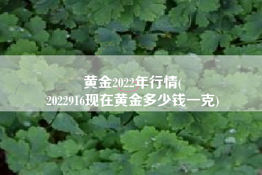 黄金2022年行情(
2022916现在黄金多少钱一克) 黄金2022年行情(
2022916现在黄金多少钱一克)