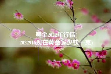 黄金2022年行情(
2022916现在黄金多少钱一克) 黄金2022年行情(
2022916现在黄金多少钱一克)