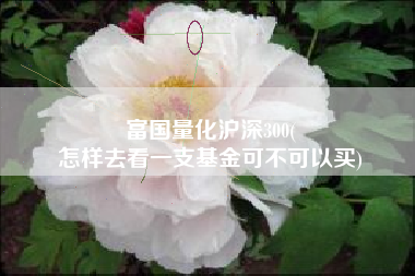 富国量化沪深300(
怎样去看一支基金可不可以买) 富国量化沪深300(
怎样去看一支基金可不可以买)