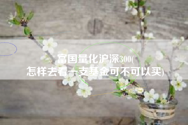 富国量化沪深300(
怎样去看一支基金可不可以买) 富国量化沪深300(
怎样去看一支基金可不可以买)