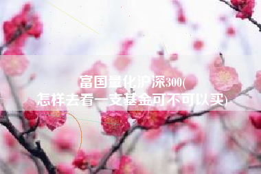 富国量化沪深300(
怎样去看一支基金可不可以买) 富国量化沪深300(
怎样去看一支基金可不可以买)
