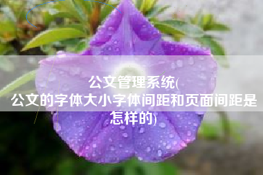 公文管理系统(
公文的字体大小字体间距和页面间距是怎样的) 公文管理系统(
公文的字体大小字体间距和页面间距是怎样的)