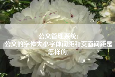 公文管理系统(
公文的字体大小字体间距和页面间距是怎样的) 公文管理系统(
公文的字体大小字体间距和页面间距是怎样的)