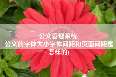 公文管理系统(
公文的字体大小字体间距和页面间距是怎样的) 公文管理系统(
公文的字体大小字体间距和页面间距是怎样的)