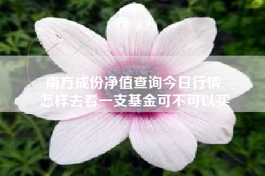 南方成份净值查询今日行情,
怎样去看一支基金可不可以买 南方成份净值查询今日行情,
怎样去看一支基金可不可以买