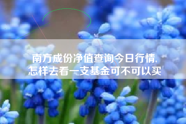 南方成份净值查询今日行情,
怎样去看一支基金可不可以买 南方成份净值查询今日行情,
怎样去看一支基金可不可以买