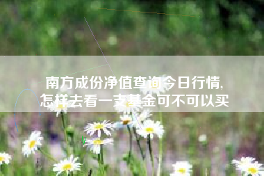 南方成份净值查询今日行情,
怎样去看一支基金可不可以买 南方成份净值查询今日行情,
怎样去看一支基金可不可以买
