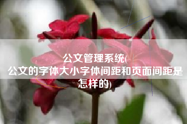 公文管理系统(
公文的字体大小字体间距和页面间距是怎样的) 公文管理系统(
公文的字体大小字体间距和页面间距是怎样的)