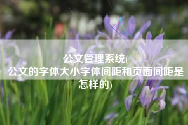 公文管理系统(
公文的字体大小字体间距和页面间距是怎样的) 公文管理系统(
公文的字体大小字体间距和页面间距是怎样的)