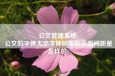 公文管理系统(
公文的字体大小字体间距和页面间距是怎样的) 公文管理系统(
公文的字体大小字体间距和页面间距是怎样的)