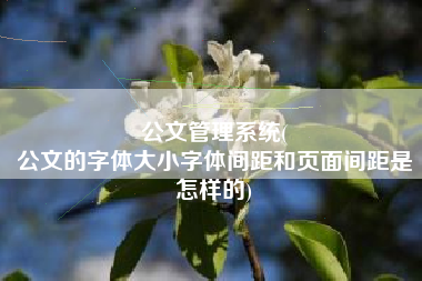 公文管理系统(
公文的字体大小字体间距和页面间距是怎样的) 公文管理系统(
公文的字体大小字体间距和页面间距是怎样的)