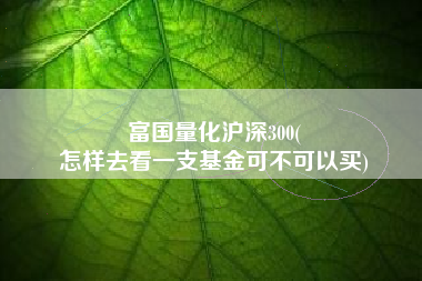 富国量化沪深300(
怎样去看一支基金可不可以买) 富国量化沪深300(
怎样去看一支基金可不可以买)