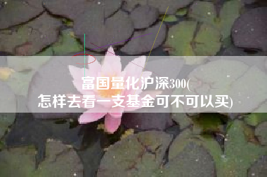富国量化沪深300(
怎样去看一支基金可不可以买) 富国量化沪深300(
怎样去看一支基金可不可以买)