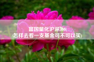 富国量化沪深300(
怎样去看一支基金可不可以买) 富国量化沪深300(
怎样去看一支基金可不可以买)