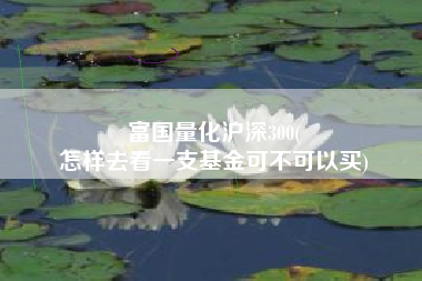 富国量化沪深300(
怎样去看一支基金可不可以买) 富国量化沪深300(
怎样去看一支基金可不可以买)