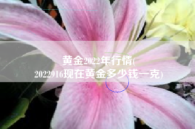 黄金2022年行情(
2022916现在黄金多少钱一克) 黄金2022年行情(
2022916现在黄金多少钱一克)