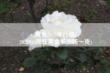 黄金2022年行情(
2022916现在黄金多少钱一克) 黄金2022年行情(
2022916现在黄金多少钱一克)