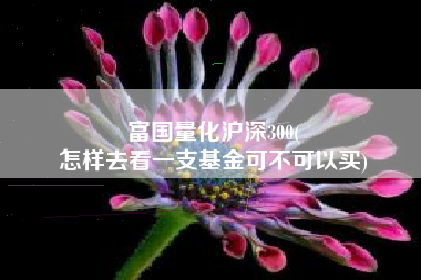 富国量化沪深300(
怎样去看一支基金可不可以买) 富国量化沪深300(
怎样去看一支基金可不可以买)