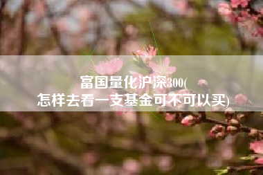 富国量化沪深300(
怎样去看一支基金可不可以买) 富国量化沪深300(
怎样去看一支基金可不可以买)