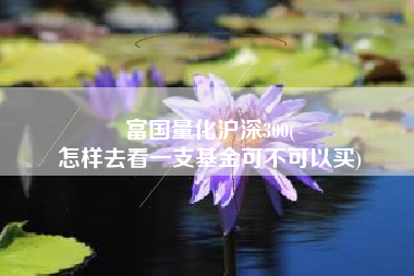 富国量化沪深300(
怎样去看一支基金可不可以买) 富国量化沪深300(
怎样去看一支基金可不可以买)