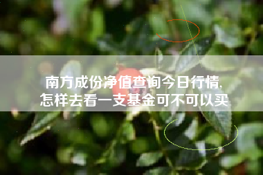 南方成份净值查询今日行情,
怎样去看一支基金可不可以买 南方成份净值查询今日行情,
怎样去看一支基金可不可以买