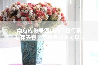 南方成份净值查询今日行情,
怎样去看一支基金可不可以买 南方成份净值查询今日行情,
怎样去看一支基金可不可以买
