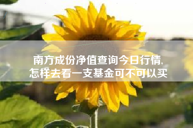 南方成份净值查询今日行情,
怎样去看一支基金可不可以买 南方成份净值查询今日行情,
怎样去看一支基金可不可以买