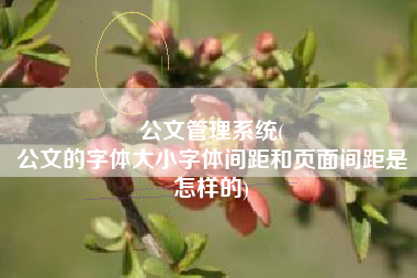 公文管理系统(
公文的字体大小字体间距和页面间距是怎样的) 公文管理系统(
公文的字体大小字体间距和页面间距是怎样的)