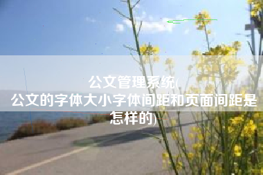 公文管理系统(
公文的字体大小字体间距和页面间距是怎样的) 公文管理系统(
公文的字体大小字体间距和页面间距是怎样的)