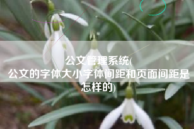 公文管理系统(
公文的字体大小字体间距和页面间距是怎样的) 公文管理系统(
公文的字体大小字体间距和页面间距是怎样的)