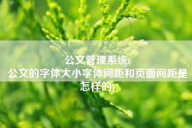 公文管理系统(
公文的字体大小字体间距和页面间距是怎样的) 公文管理系统(
公文的字体大小字体间距和页面间距是怎样的)