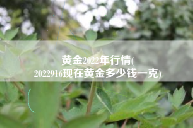 黄金2022年行情(
2022916现在黄金多少钱一克) 黄金2022年行情(
2022916现在黄金多少钱一克)