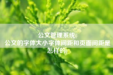 公文管理系统(
公文的字体大小字体间距和页面间距是怎样的) 公文管理系统(
公文的字体大小字体间距和页面间距是怎样的)