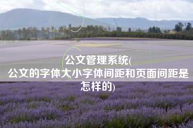 公文管理系统(
公文的字体大小字体间距和页面间距是怎样的) 公文管理系统(
公文的字体大小字体间距和页面间距是怎样的)