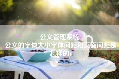 公文管理系统(
公文的字体大小字体间距和页面间距是怎样的) 公文管理系统(
公文的字体大小字体间距和页面间距是怎样的)