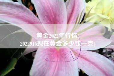 黄金2022年行情(
2022916现在黄金多少钱一克) 黄金2022年行情(
2022916现在黄金多少钱一克)
