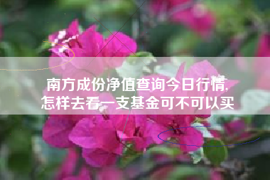 南方成份净值查询今日行情,
怎样去看一支基金可不可以买 南方成份净值查询今日行情,
怎样去看一支基金可不可以买