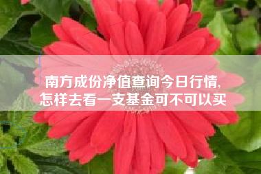 南方成份净值查询今日行情,
怎样去看一支基金可不可以买 南方成份净值查询今日行情,
怎样去看一支基金可不可以买