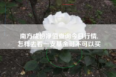 南方成份净值查询今日行情,
怎样去看一支基金可不可以买 南方成份净值查询今日行情,
怎样去看一支基金可不可以买