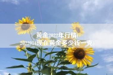 黄金2022年行情(
2022916现在黄金多少钱一克) 黄金2022年行情(
2022916现在黄金多少钱一克)