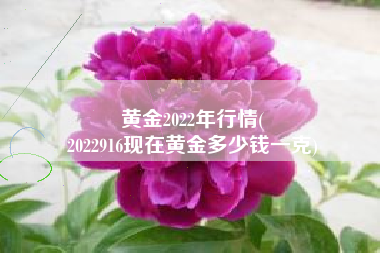 黄金2022年行情(
2022916现在黄金多少钱一克) 黄金2022年行情(
2022916现在黄金多少钱一克)