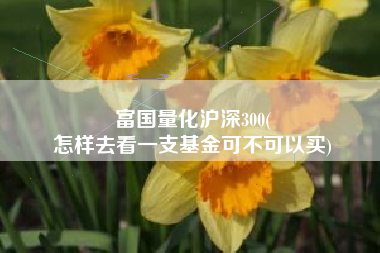 富国量化沪深300(
怎样去看一支基金可不可以买) 富国量化沪深300(
怎样去看一支基金可不可以买)