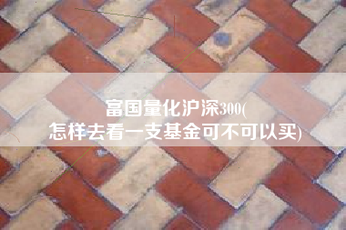 富国量化沪深300(
怎样去看一支基金可不可以买) 富国量化沪深300(
怎样去看一支基金可不可以买)