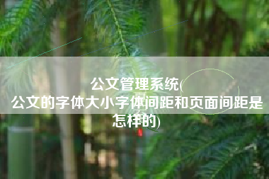 公文管理系统(
公文的字体大小字体间距和页面间距是怎样的) 公文管理系统(
公文的字体大小字体间距和页面间距是怎样的)