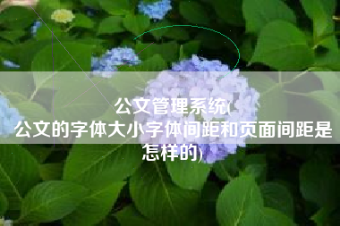公文管理系统(
公文的字体大小字体间距和页面间距是怎样的) 公文管理系统(
公文的字体大小字体间距和页面间距是怎样的)