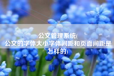 公文管理系统(
公文的字体大小字体间距和页面间距是怎样的) 公文管理系统(
公文的字体大小字体间距和页面间距是怎样的)