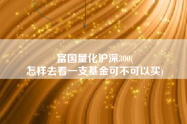 富国量化沪深300(
怎样去看一支基金可不可以买) 富国量化沪深300(
怎样去看一支基金可不可以买)