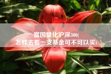 富国量化沪深300(
怎样去看一支基金可不可以买) 富国量化沪深300(
怎样去看一支基金可不可以买)