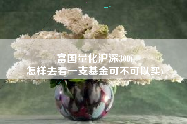 富国量化沪深300(
怎样去看一支基金可不可以买) 富国量化沪深300(
怎样去看一支基金可不可以买)